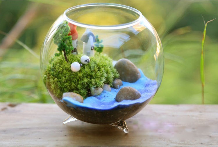 苔藓制作玻璃瓶 微景观生态瓶 三脚玻璃鱼缸 多肉diy三足