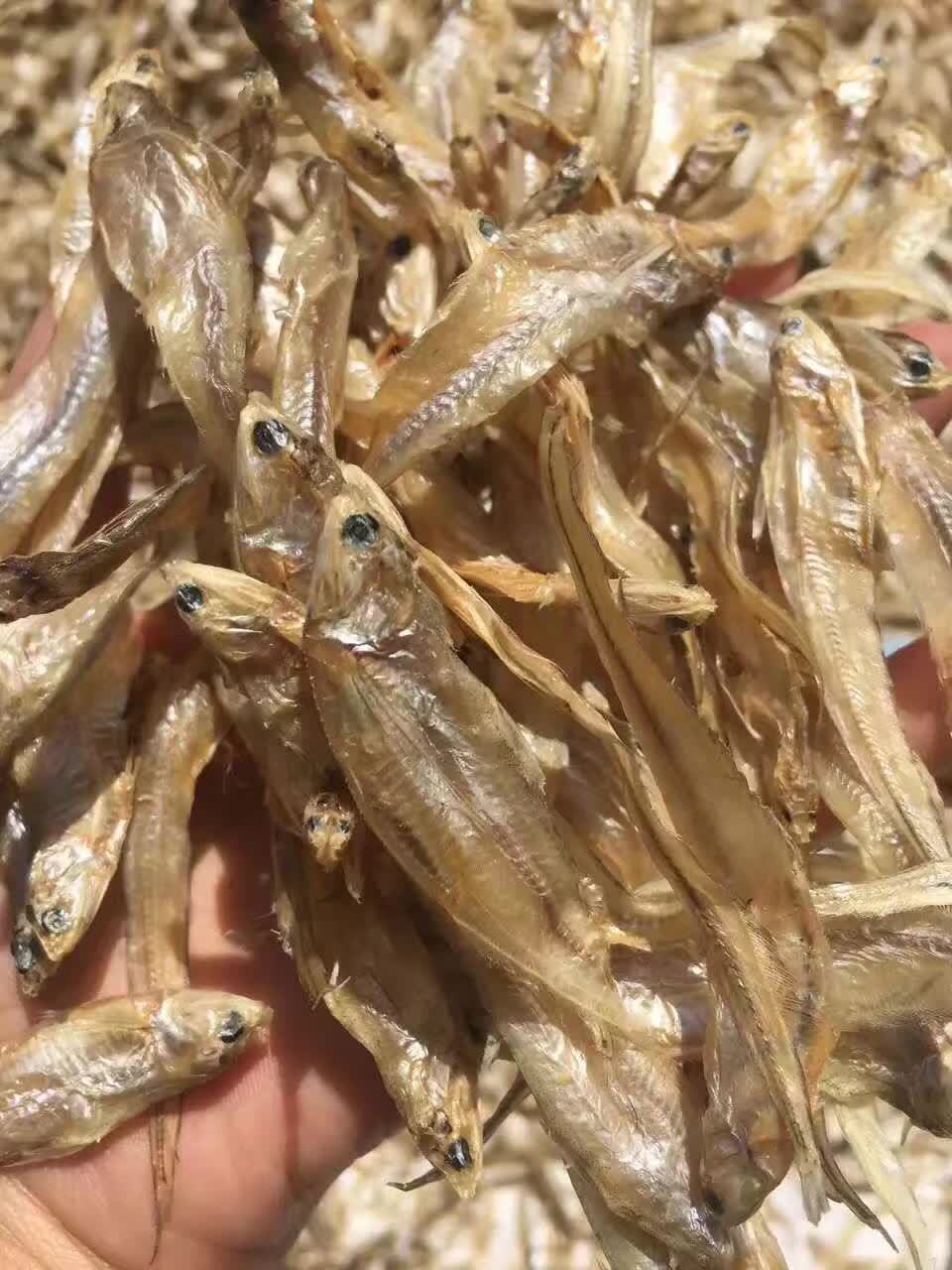 鄱阳湖野生毛刀鱼干厂家 毛刀鱼批发 2