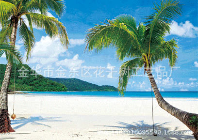 义乌厂家定制三维立体3d4d5d动态影像不干胶pp pet pvc卡片盒子贴