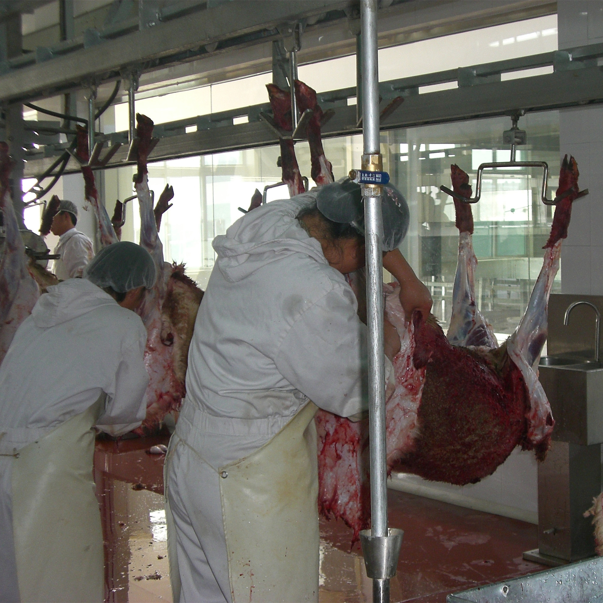 羊放血输送系统|羊预剥输送系统|羊胴体输送系统|羊屠宰设备