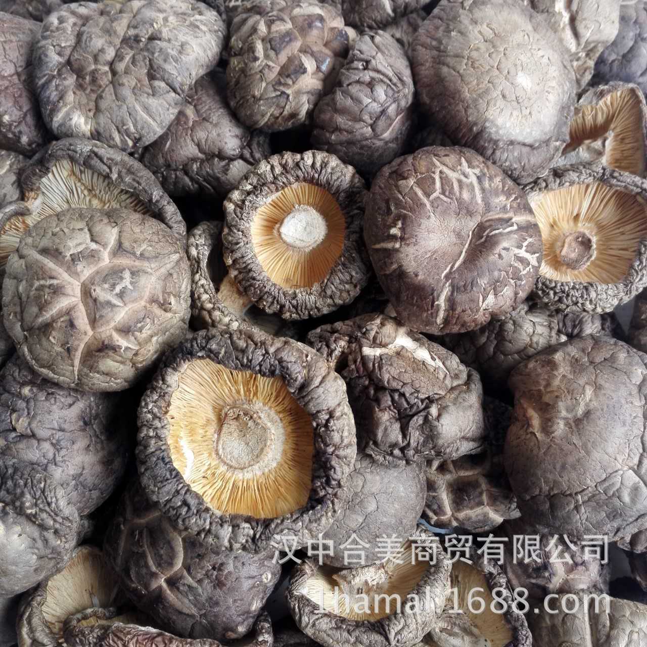 批发秦岭野外生态椴干香菇 肉菇 干香菇丁 烤菇 肉菇 50.