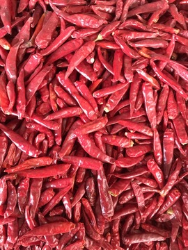 现货 供应 朝天椒 小辣椒  德州产地  辣椒圈 辣椒丝 辣椒碎