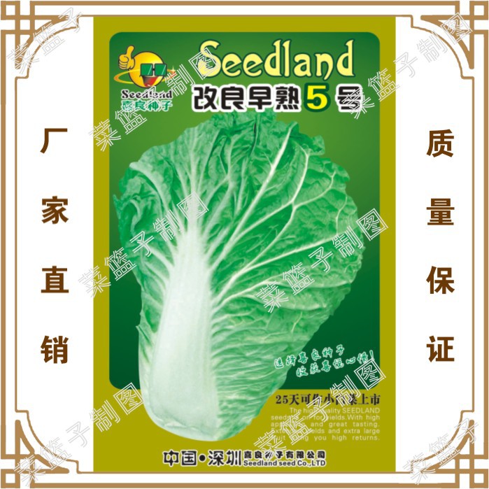 蔬菜种子 蔬果 改良早熟5号 62-01 阳台 庭院 大棚春夏播种彩袋装