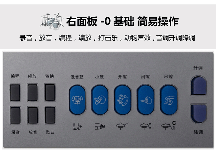 正品新韵xy-833数码电子琴 多功能54键标准钢琴键电子琴 厂家直销