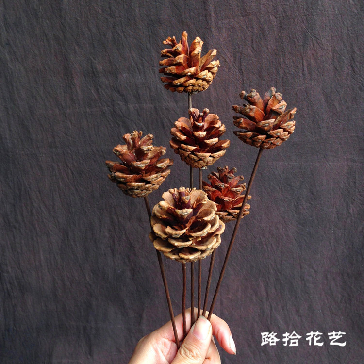 家居装饰禅意艺术拍摄道具天然手工diy松球摆件原生态松果干花