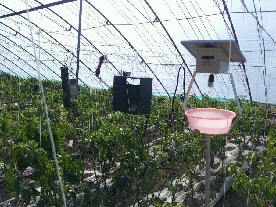 厂家供应二氧化碳发生器二氧化碳电子发生器