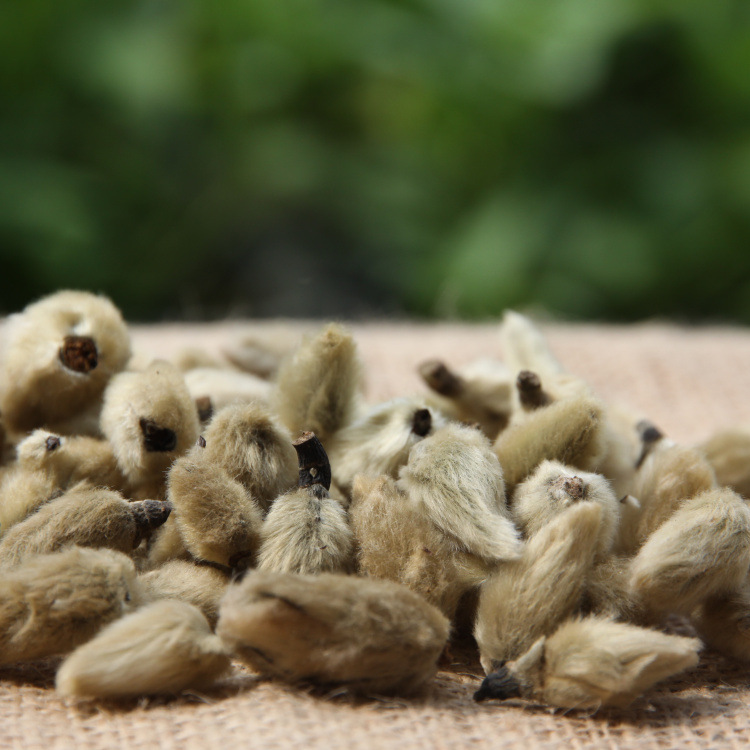 辛夷花 毛桃 500克 量大从优