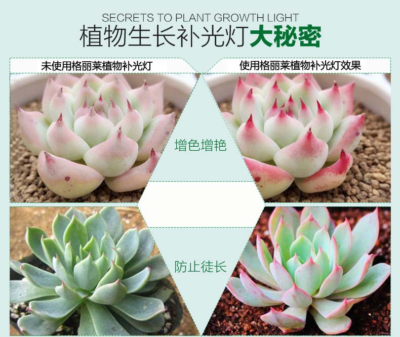 全光谱cob光源 96w led植物生长灯 植物灯 补光灯光照度强