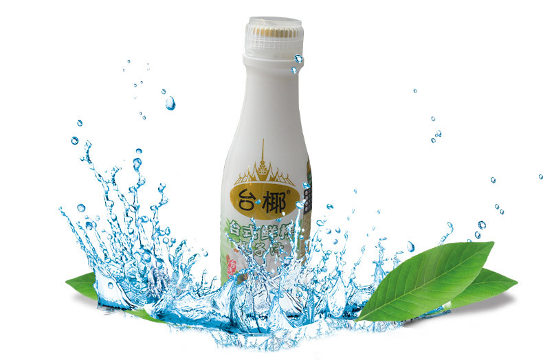 台式鲜榨椰子汁 台椰 饮料饮品 高蛋白饮料 厂家直销