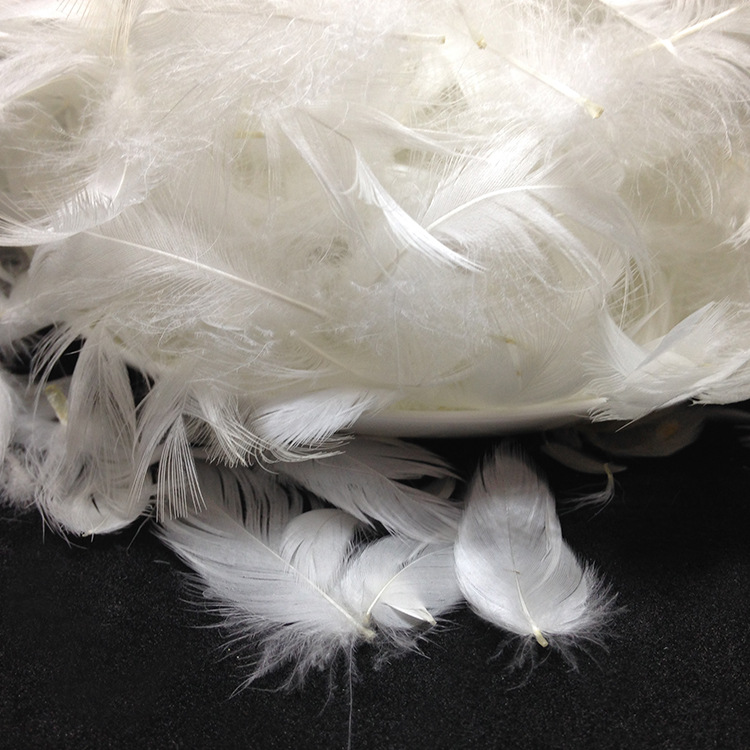 【厂家直销】水洗白鸭毛5-8cm 广东深圳羽绒厂家批发水洗白鸭毛