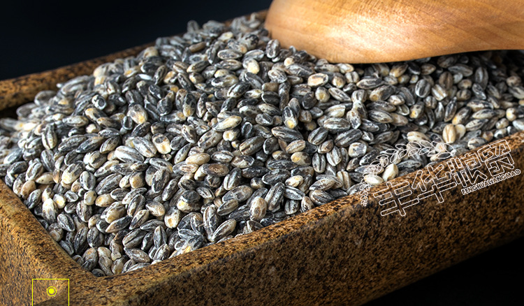 批发精选黑小麦麦 仁富硒黑麦米 去皮黑麦 养生黑粮 五谷杂粮