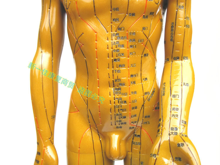 工艺:表面铜色抛光处理,经络穴位用凹型刻字工艺版处理,字迹经络线