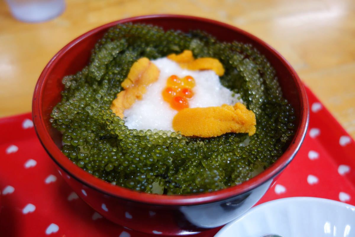 海葡萄绿鱼籽藻类鱼籽酱海藻寿司料理食材