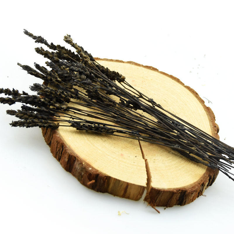 鬼羽箭 黑骨草 羽箭草 羽箭 黑草 中药材批发 1000g克