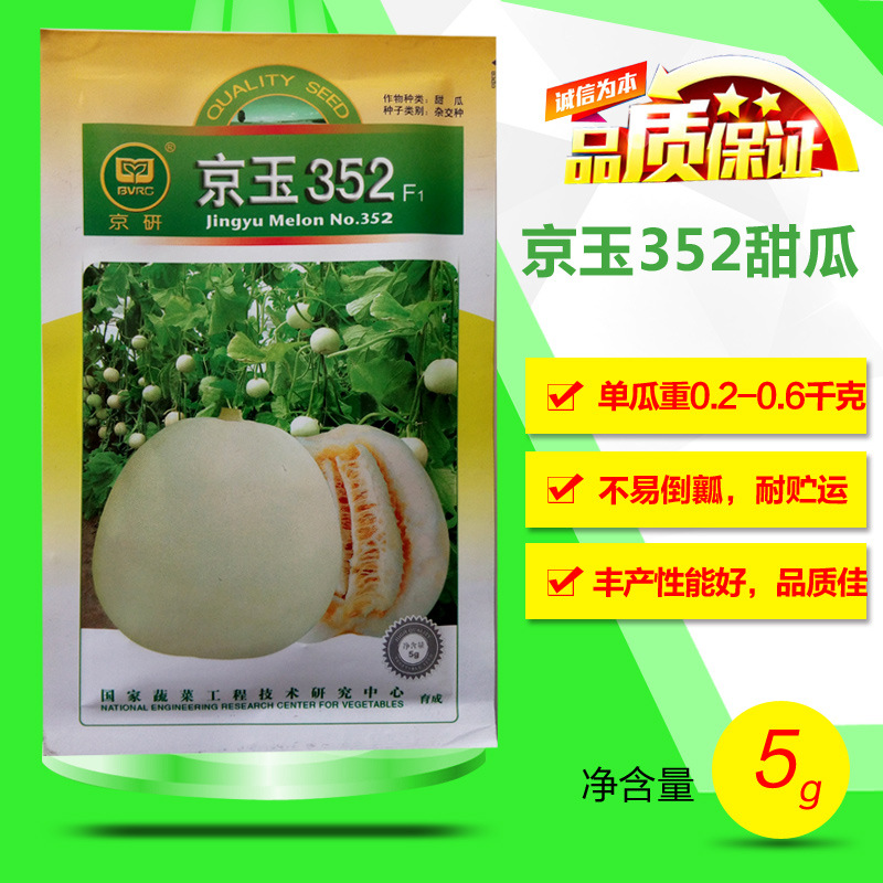 京玉352甜瓜种子 北京出品 薄皮甜瓜种子高档品种 10粒
