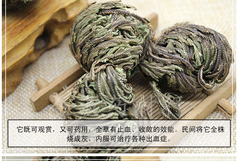中草药材批发 卷柏 九死还魂草 石柏 岩柏草 卷柏量大从优