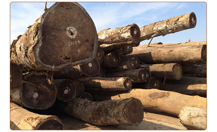 非洲优质核桃木原木 防腐天然大口径防腐木材厂家 进口核桃原木