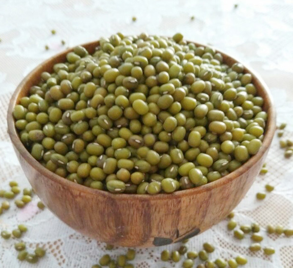 绿豆中粒芽豆,也叫大明绿.既可以做芽豆生豆芽,也可以做商品豆精品.