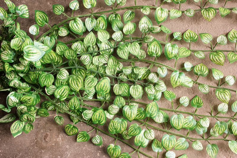 铁宝盒 仿真植物绿色小叶藤条 挂藤 吊藤 室内外墙装饰
