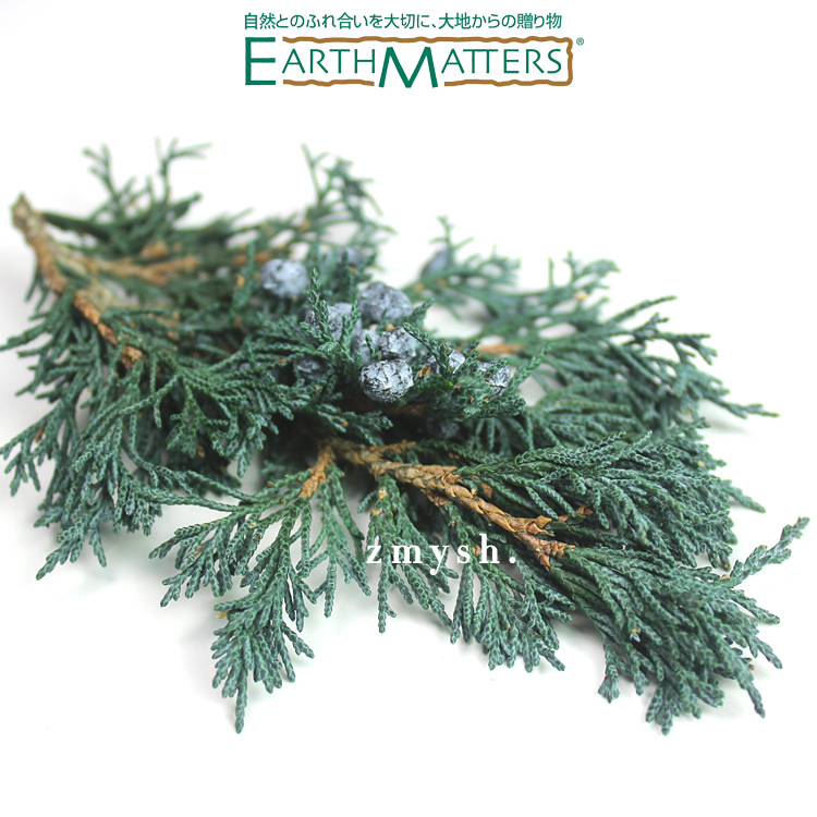 【温州鲜花】_温州鲜花厂家_温州鲜花批发市