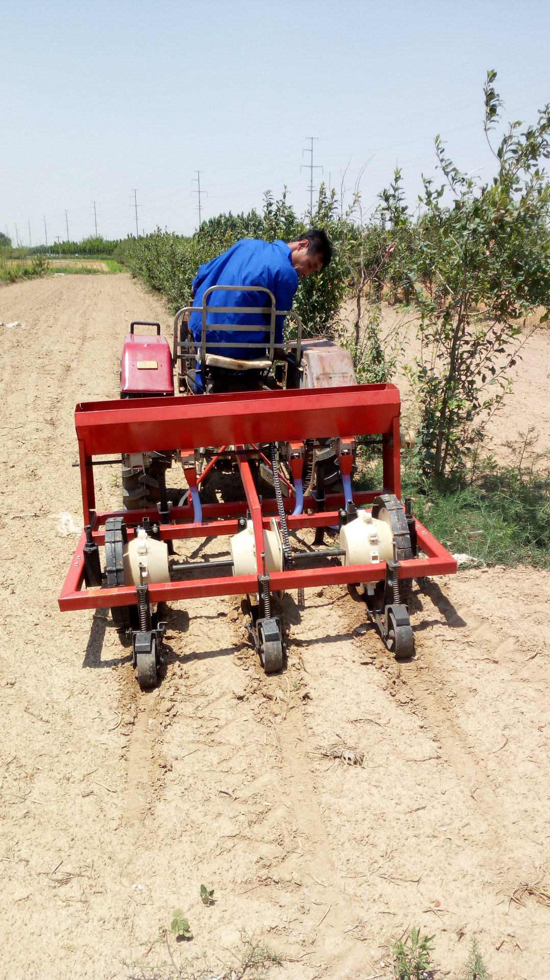 新型油葵播种机油葵覆膜机油葵穴播机视频