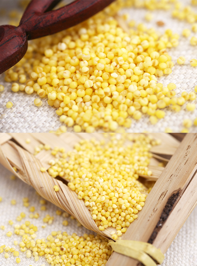 东北乾安特产黄小米天丰谷物厂家4kg礼盒装黄小米批发