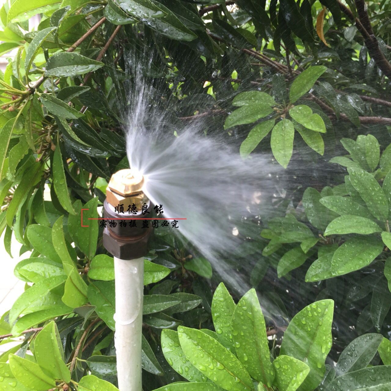 4分全铜180度折射式可调微喷头 草坪草地喷灌喷头园艺雾化喷头