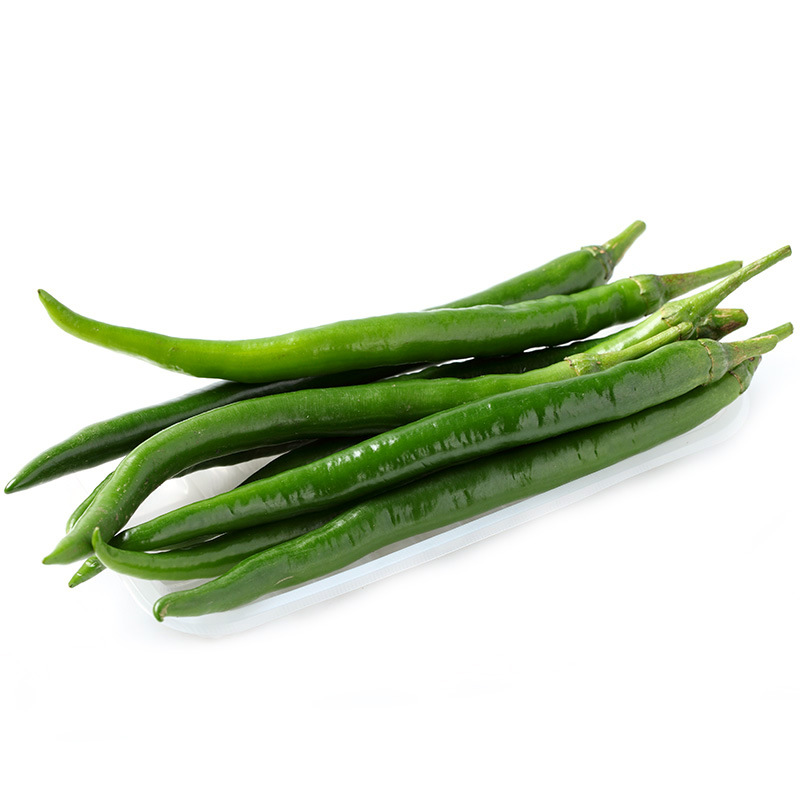 基地直供新鲜小绿尖椒生鲜批发尖辣椒寿光生鲜种植基地小绿尖椒