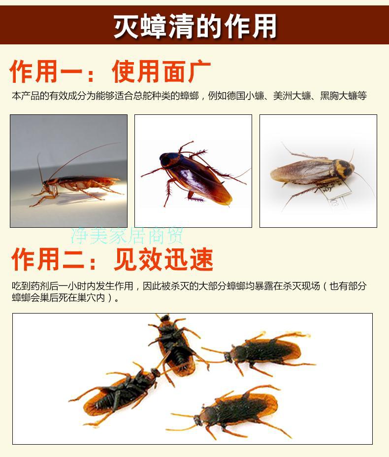 绿叶德国小蠊药 10克装小蠊药 灭蟑清饵剂 小蠊克星 厂价直销