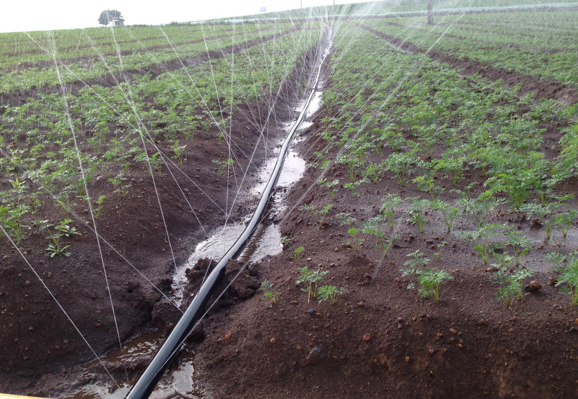 5寸滴灌带 微喷带 喷水管 喷灌带农用灌溉水带