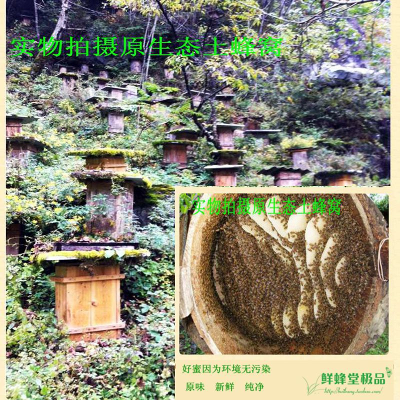 土蜂窝2