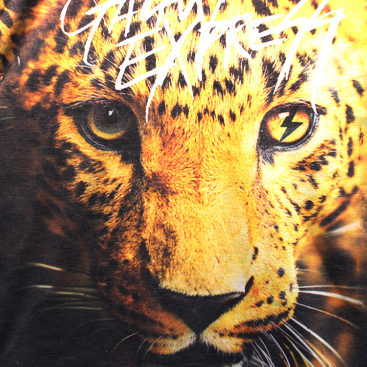 嘻哈青年男装t 虎头图案体恤十一郎男式修