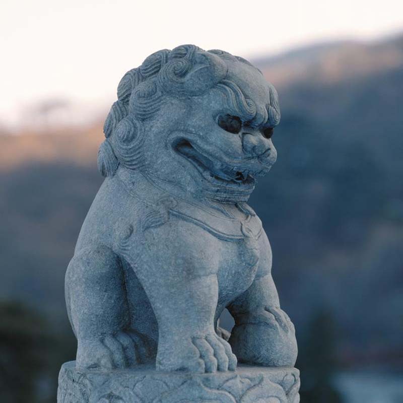 山东五莲花石狮子雕刻 五莲花石狮子长期供