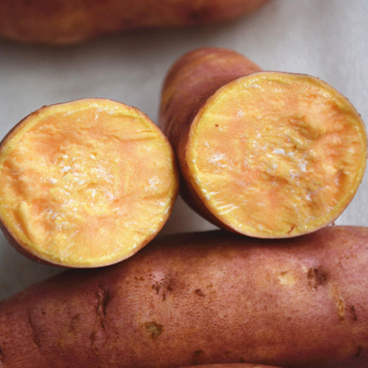 常吃红薯的13个好处