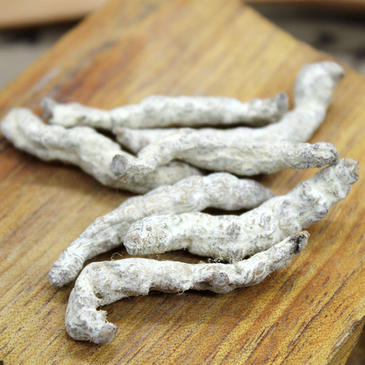 中药材白僵蚕白僵虫天虫白僵蚕粉正品批发500g促销包邮