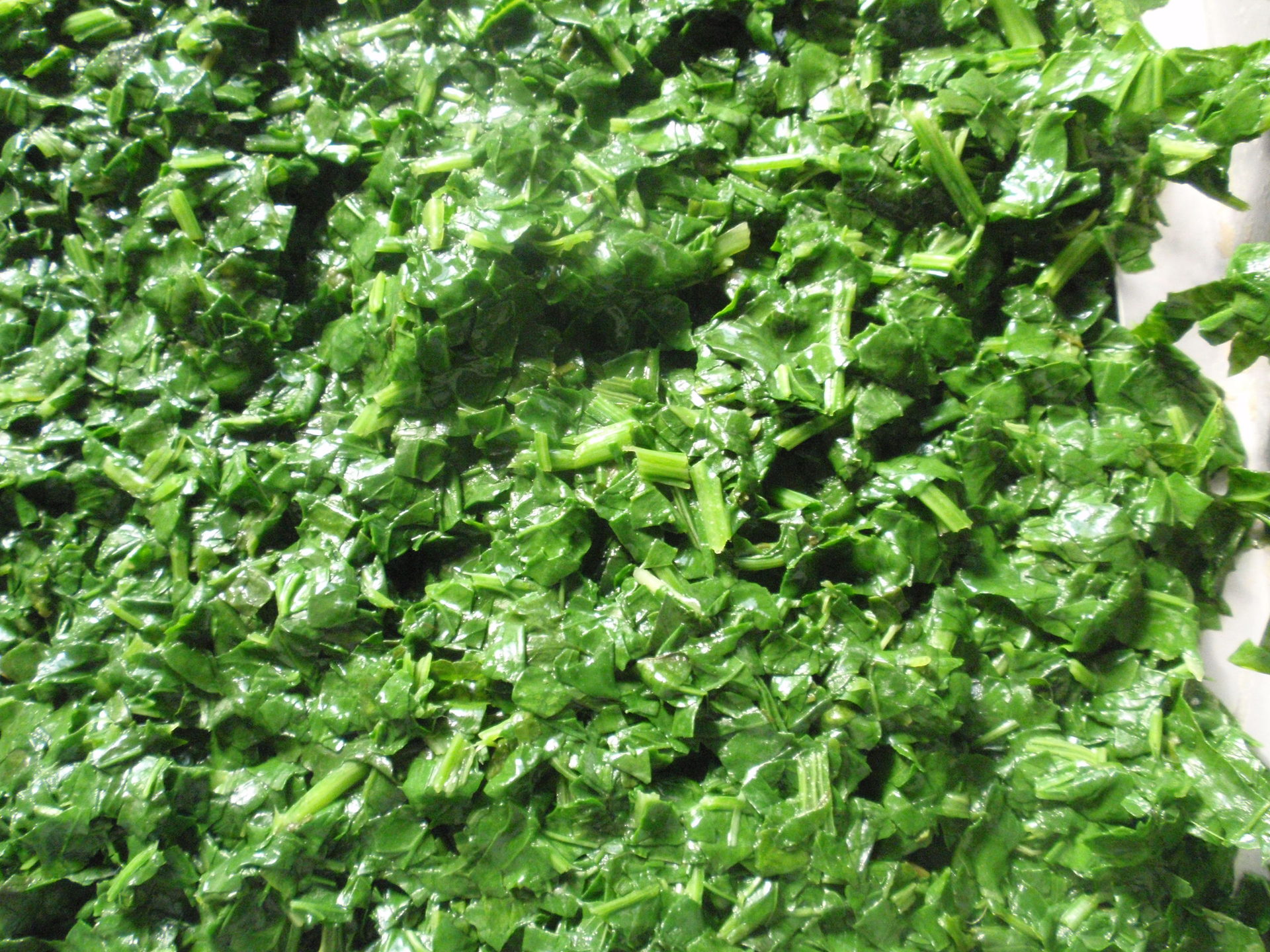 盘冻菠菜碎 冷冻菠菜 单冻菠菜