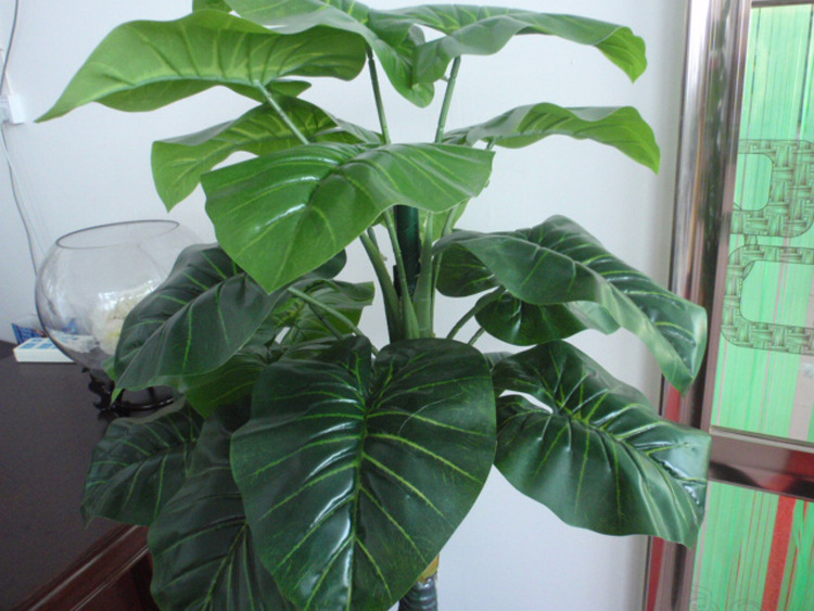 厂家批发仿真植物滴水观音树仿真绿植居家装饰绿植