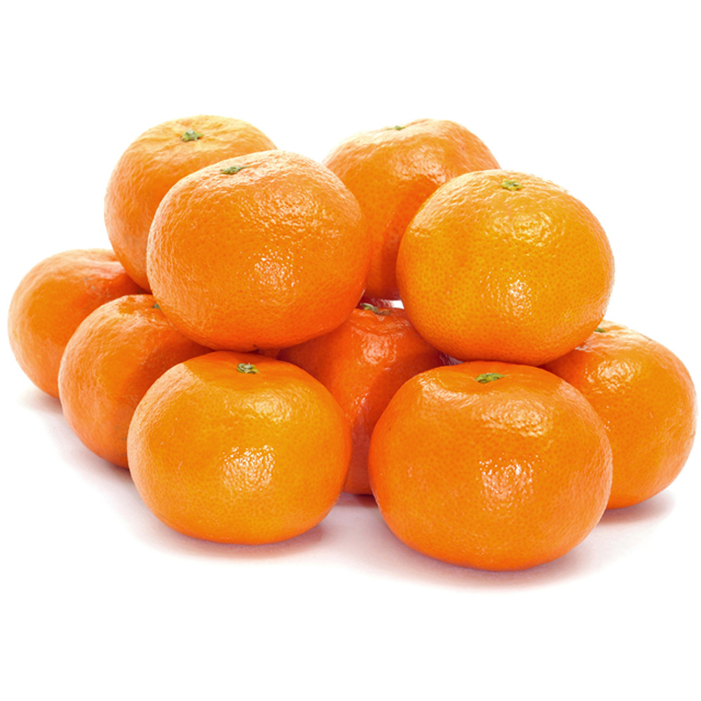 红美人柑橘苗优良品种存活率高柑橘苗专家培育高产水果苗批