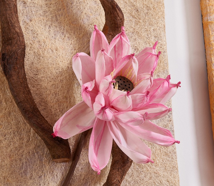 艾吾佳厂家直销通草花纯手工荷花