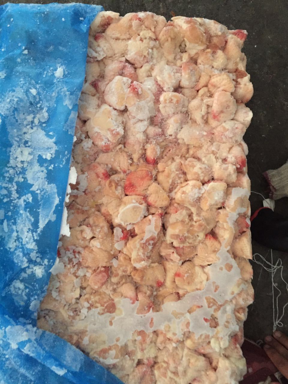 【规格10kg*2】冷冻生鲜大板鸡尾 烧烤原料鸡尾 鸡尾冷冻山东厂家