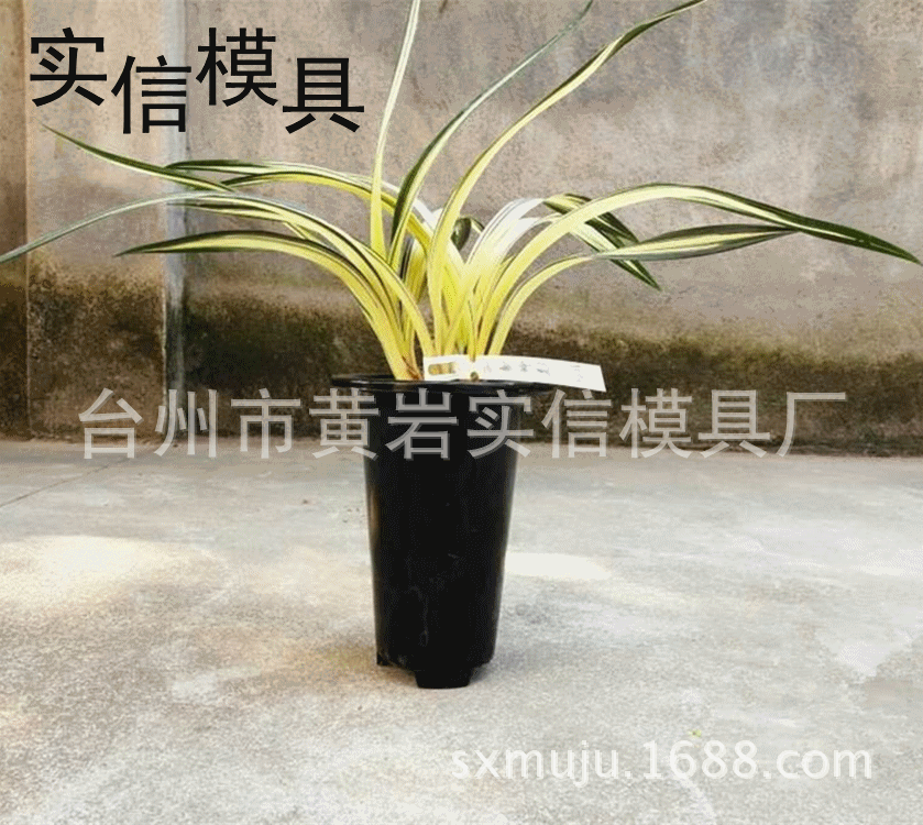 2012102011544816_副本