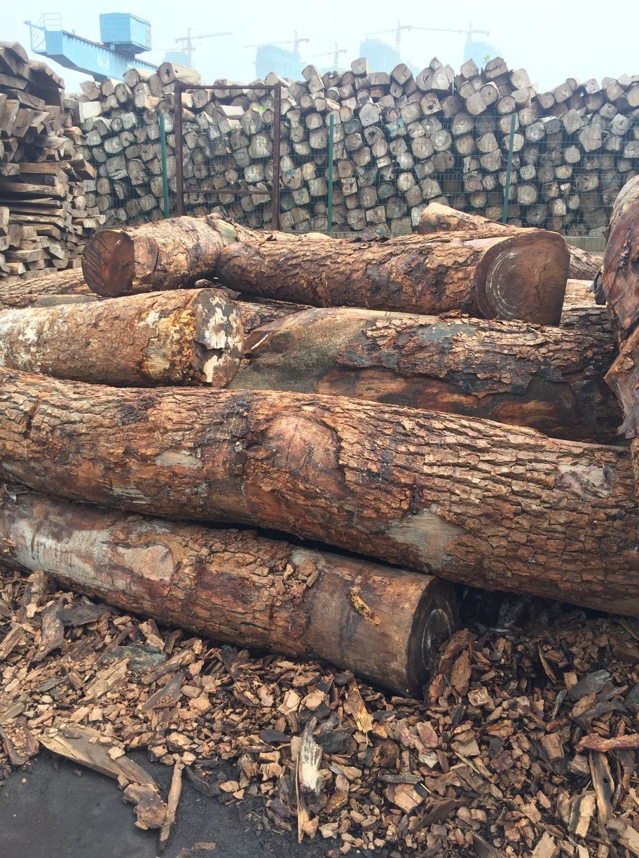 进口高棉花梨木原木板材批发 张家港防腐原木板材市场直销可定制