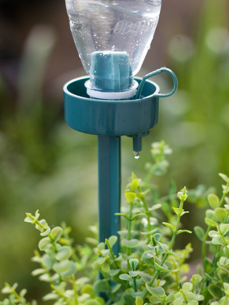 自动浇水花器家庭用可乐瓶渗滴水器懒人灌设备神器花卉盆栽调流量