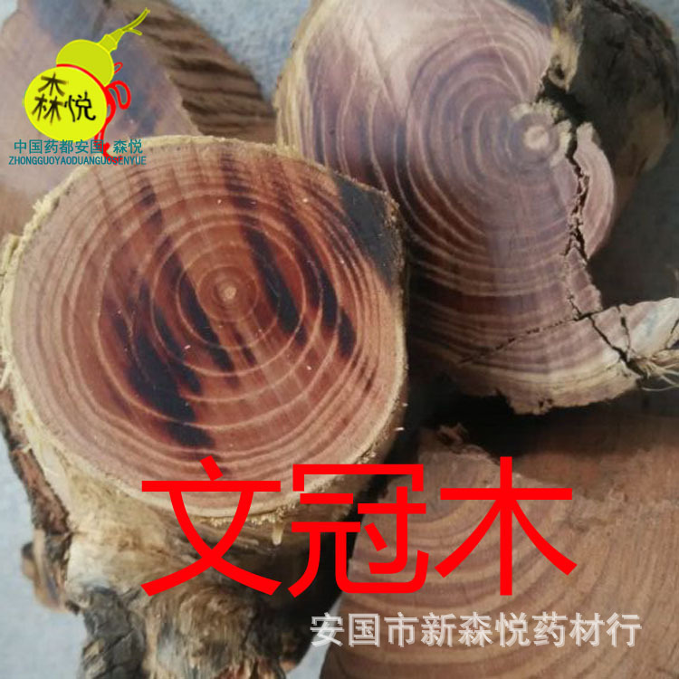 文冠木 批发冷背中药材 赞旦生 专药用 正品 保含量 新品上市
