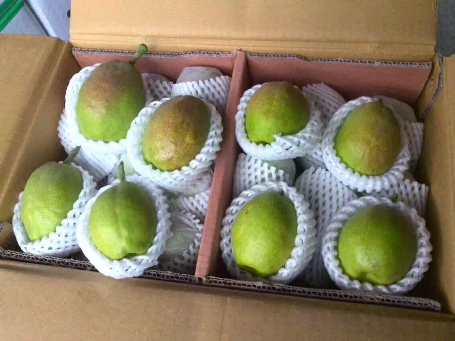 供应新疆特产 特级库尔勒香梨 新鲜香甜脆梨12斤/箱特价包邮