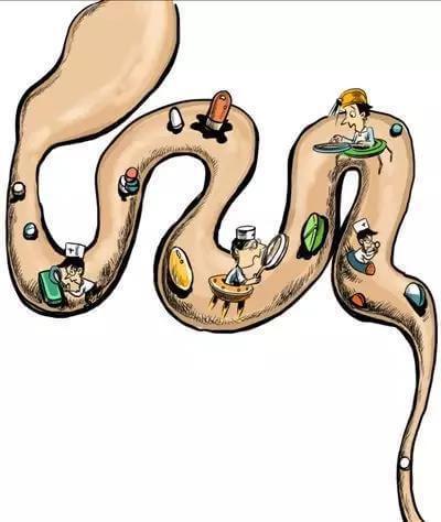 宿便堆积对人体存在的伤害