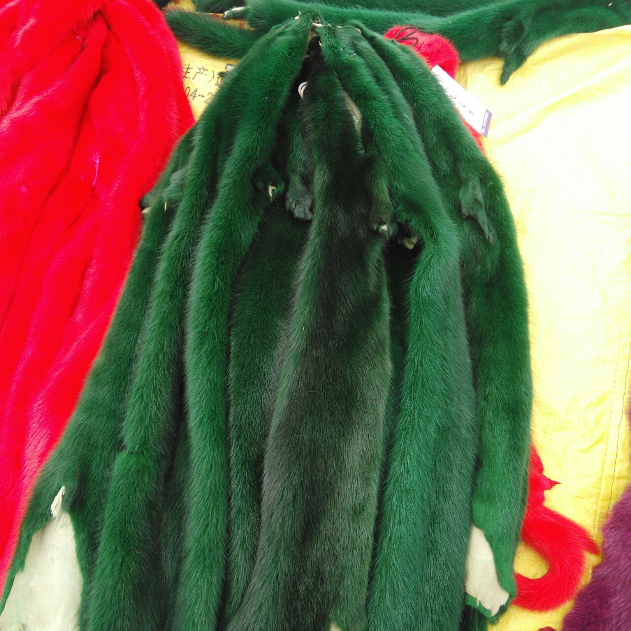 阳原毛皮水貂皮原皮整张貂皮国产公貂皮天然整只染色貂皮