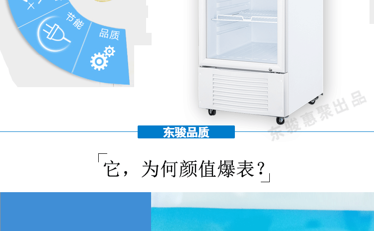 东骏lg-275lw冰柜展示柜风冷单温