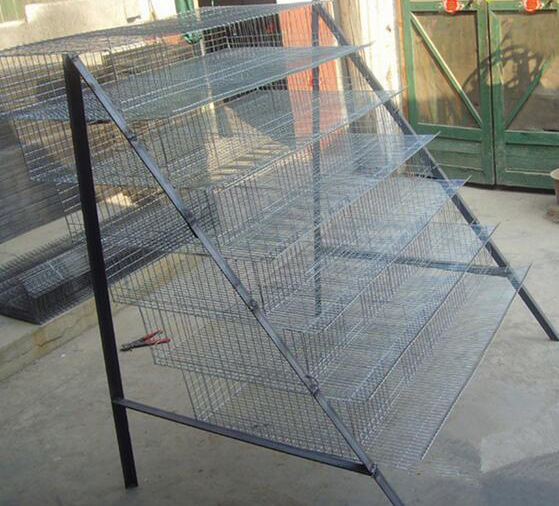 山东直销鹌鹑笼 批发鹌鹑笼金属笼 鹌鹑饲养笼批发