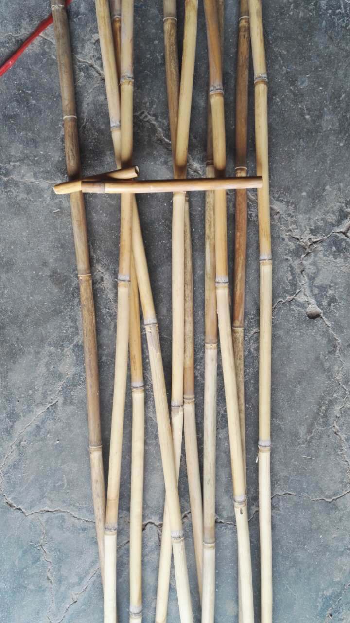 芦苇杆芦苇帘芦苇茎芦苇草装修吊顶专用唢呐哨片